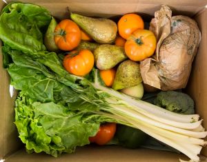 alimentos autenticos