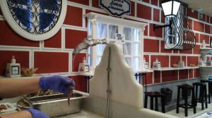 anchoas limpiadas a mano