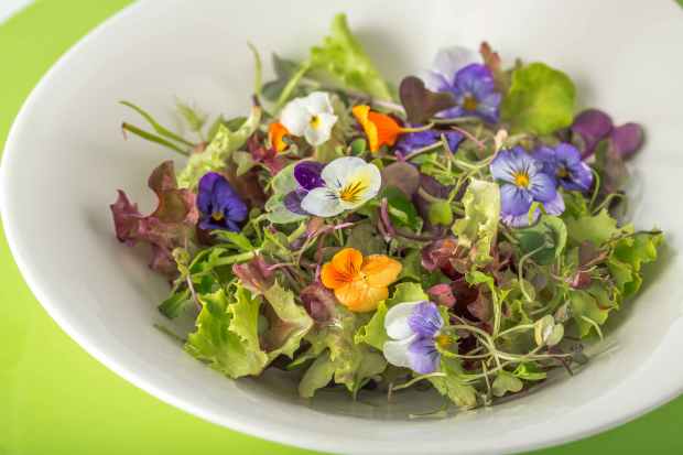 ISABEL_MAESTRE_PLATOS_17