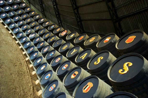 Real_Bodega_de_la_Concha_ 1