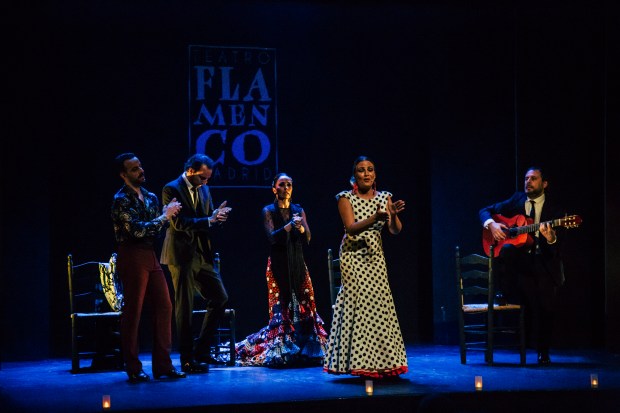 teatro flamenco madrid